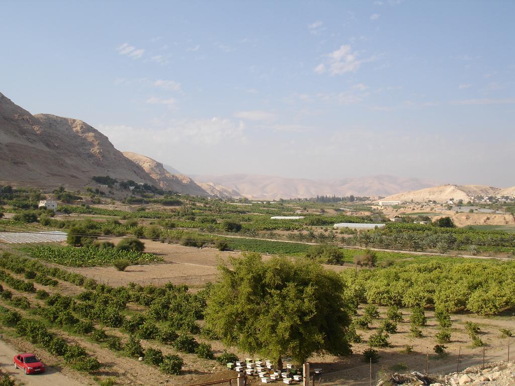 مدينة أريحا