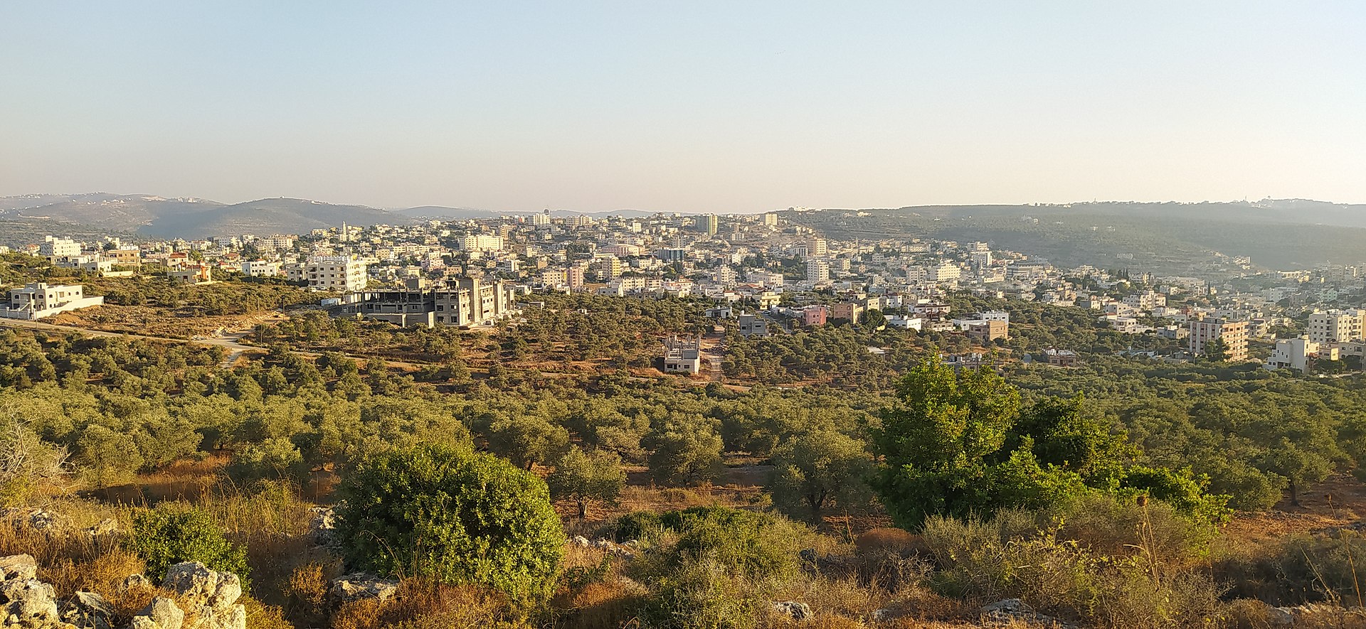 مدينة سلفيت